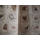 Album  Zoologico,  de La Estrella y Baguer,extreme rare - complete 230 cards,postalitas