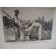 Algunas plagas de nuestros cultivos,1919 Havana,Cuba - Some pests of our crops