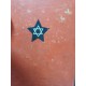 Anti-Semitic Book  1942 - The Fools of Kaganovich, Die Narren des Kaganowitsch,